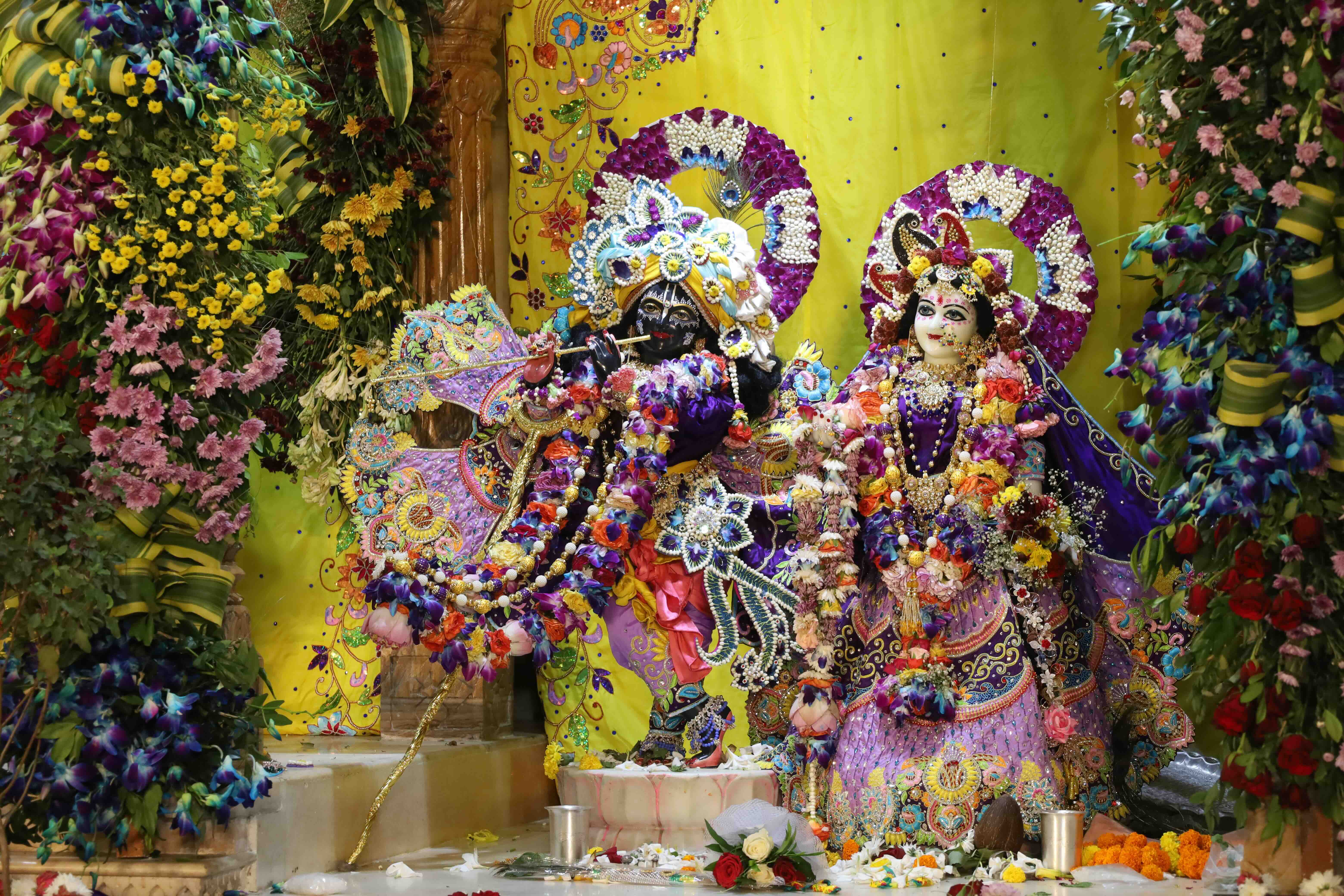 Vigrah Seva – Offer Your Prayers to Lord Krishna