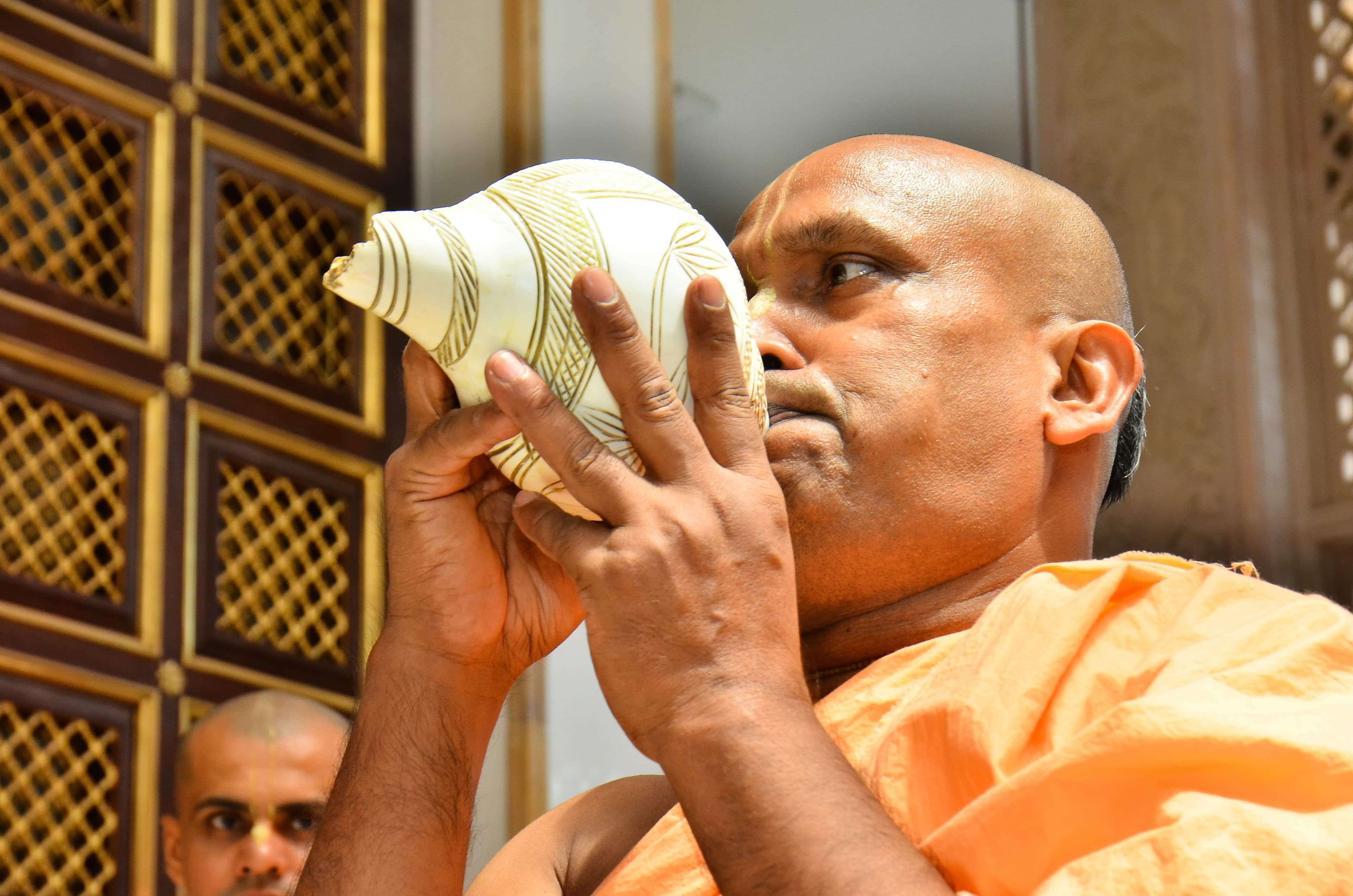 Vigrah Seva – Offer Your Prayers to Lord Krishna photo 5